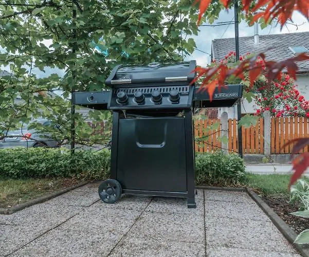 Apartma Lamberger 公寓 *